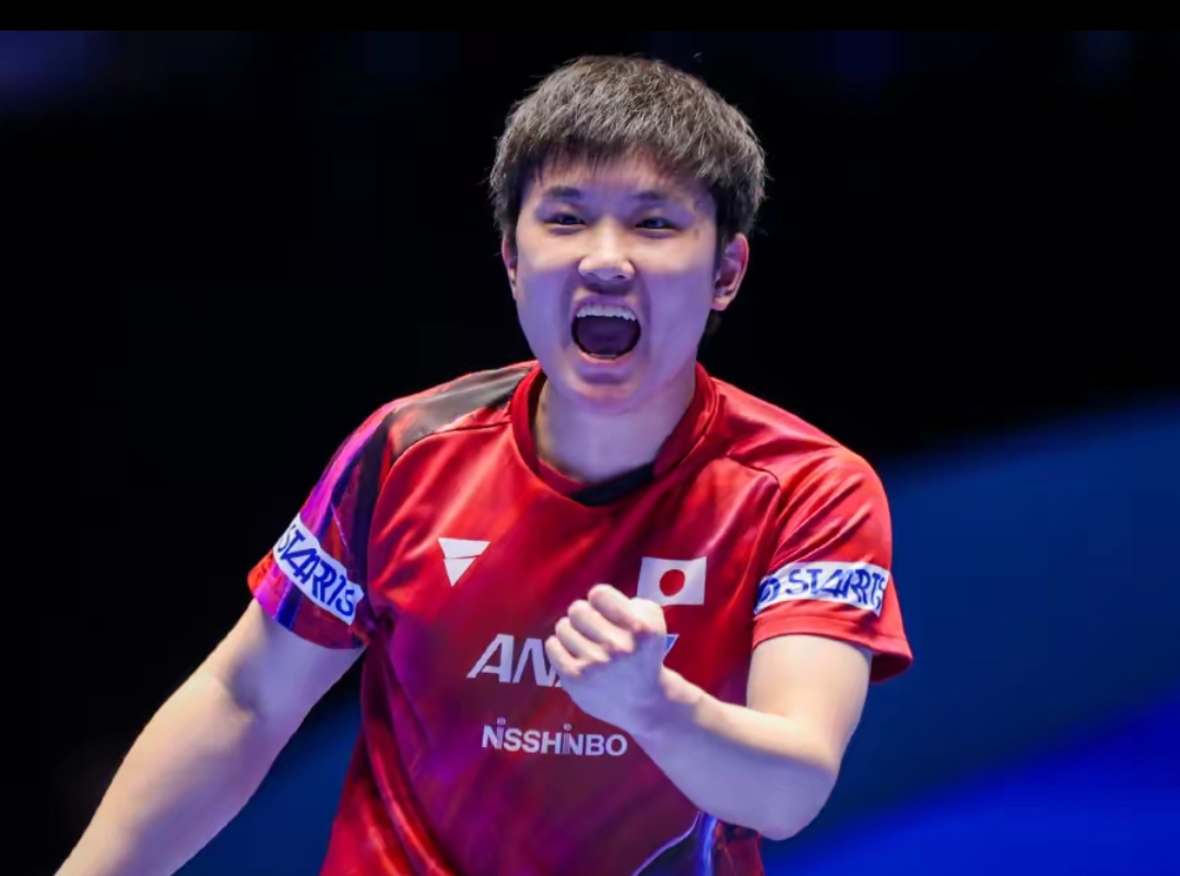 动可能会直 动可能会直