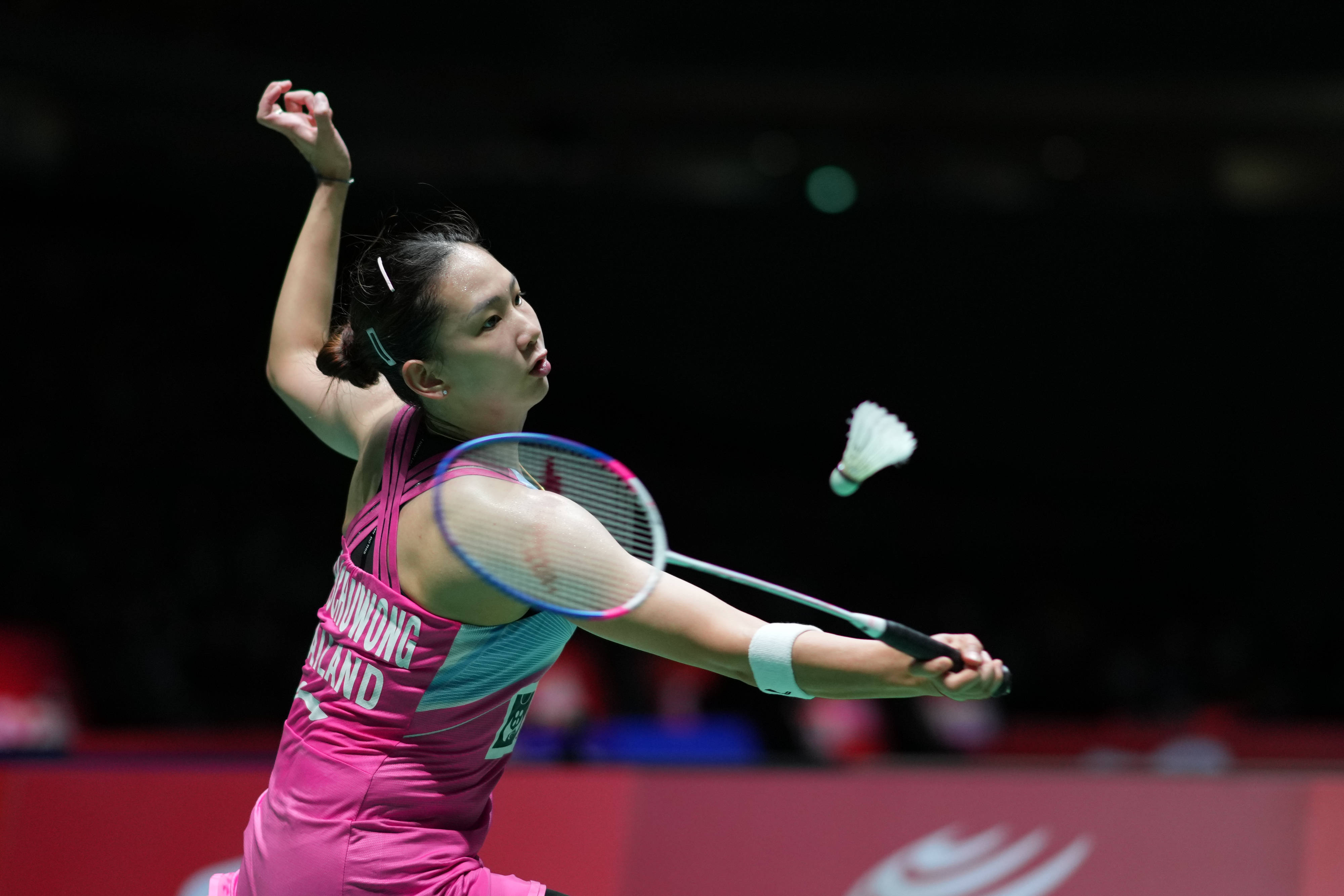 供了一个全 供了一个全